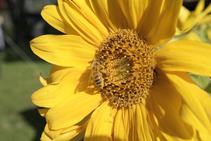 Detaljer 2006_02.jpg